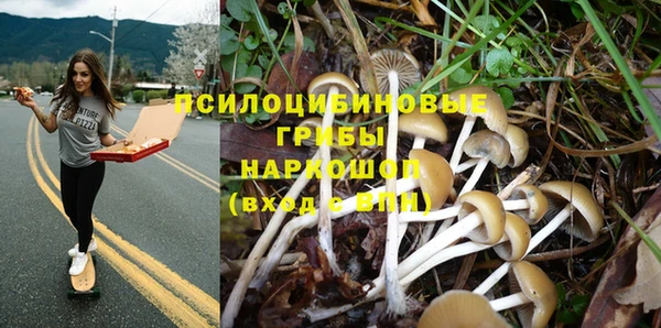 ГАЛЛЮЦИНОГЕННЫЕ ГРИБЫ Володарск